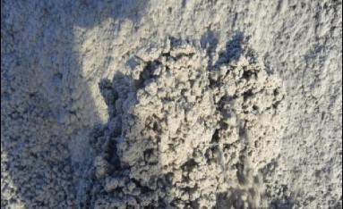 青青草狠狠干公司承办的尾矿干排工艺排出的尾矿